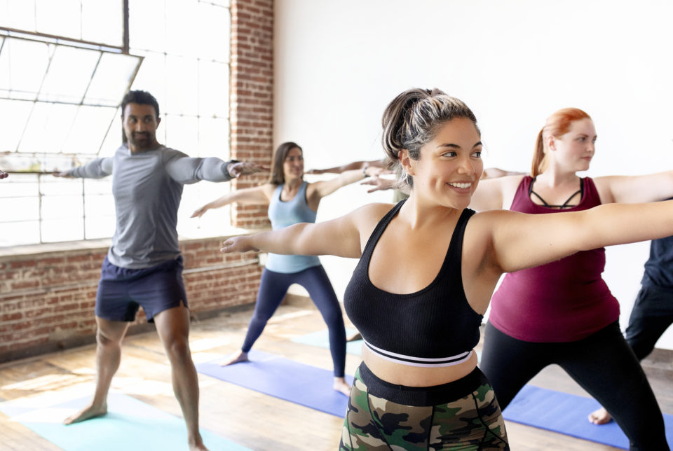 Somatotypes Body Types Overview